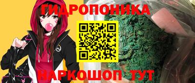 spice Бердск