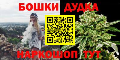 spice Бердск