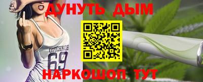 spice Бердск