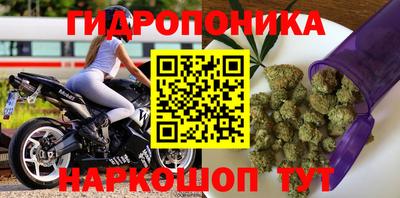spice Бердск