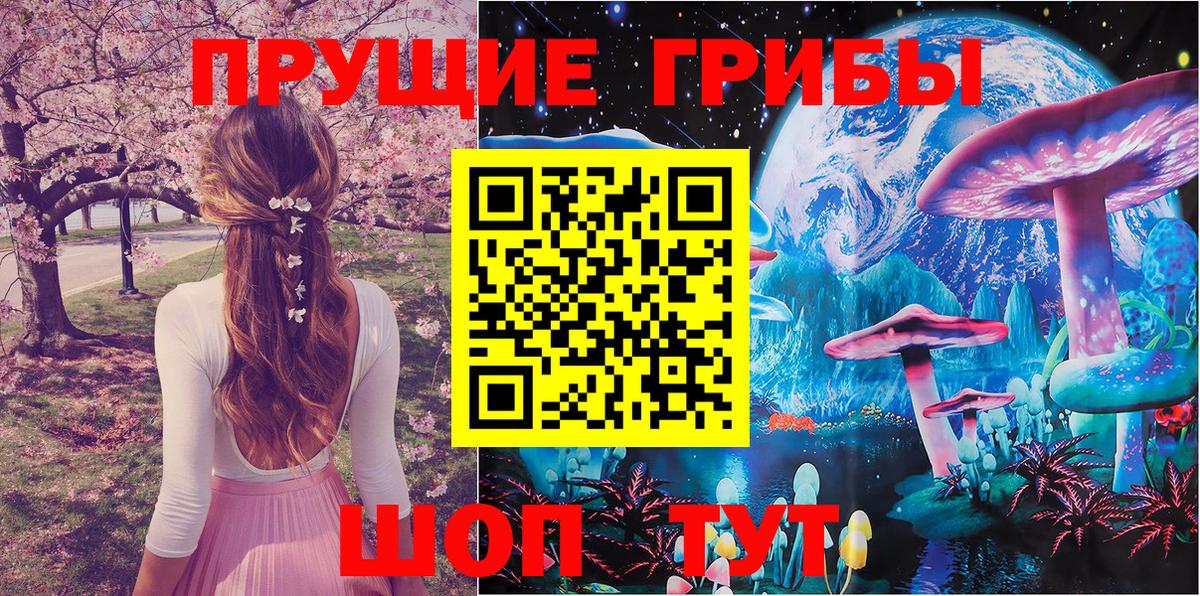 Минеральные Воды  Псилоцибиновые грибы мухоморы  Вход с VPN 